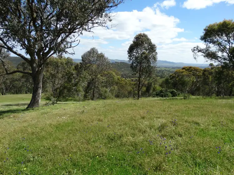 Second view of Homely rural property listing, 447 Splitters Creek Road, Splitters Creek NSW 2640