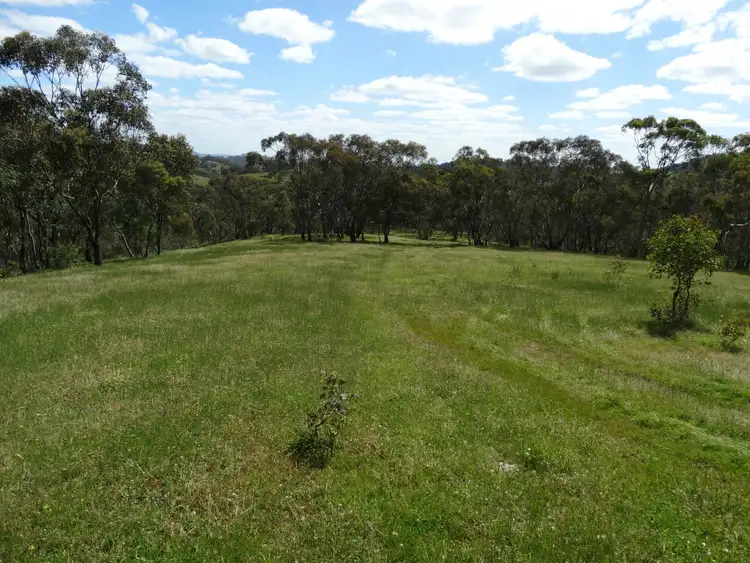 Third view of Homely rural property listing, 447 Splitters Creek Road, Splitters Creek NSW 2640