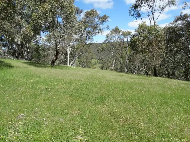 Fourth view of Homely rural property listing, 447 Splitters Creek Road, Splitters Creek NSW 2640