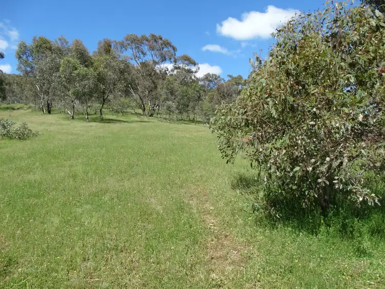 Fifth view of Homely rural property listing, 447 Splitters Creek Road, Splitters Creek NSW 2640