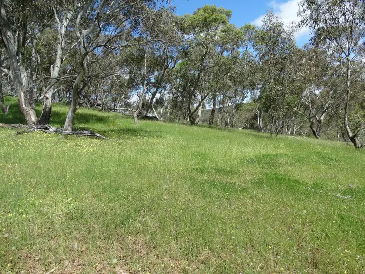 Sixth view of Homely rural property listing, 447 Splitters Creek Road, Splitters Creek NSW 2640