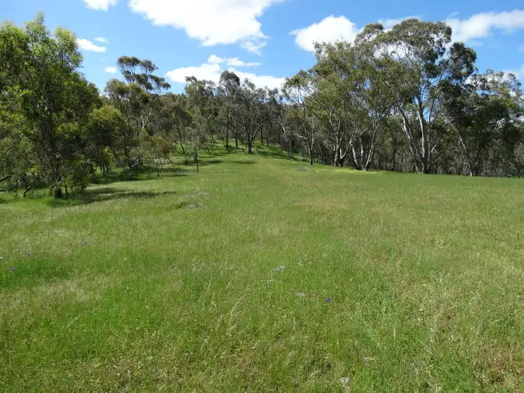 Seventh view of Homely rural property listing, 447 Splitters Creek Road, Splitters Creek NSW 2640