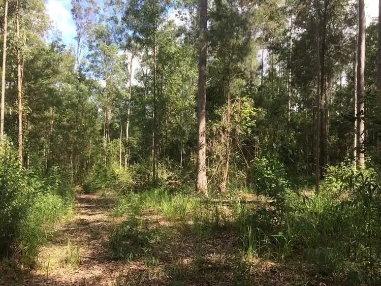 Second view of Homely rural property listing, 2605 Afterlee Road, Kyogle NSW 2474