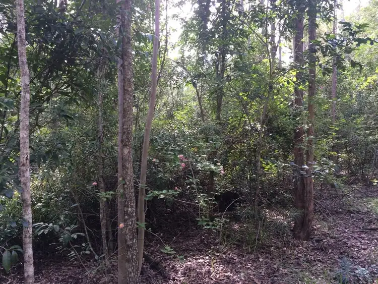 Fifth view of Homely rural property listing, 2605 Afterlee Road, Kyogle NSW 2474