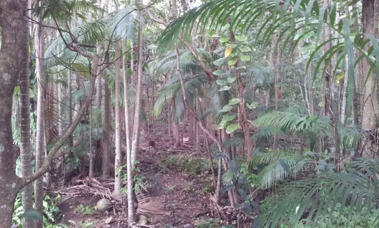 Third view of Homely rural property listing, 2408 Byfield Road, Byfield QLD 4703