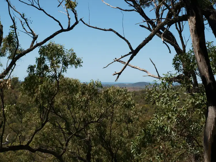Main view of Homely rural property listing, 15 Camms Road, Cawarral QLD 4702