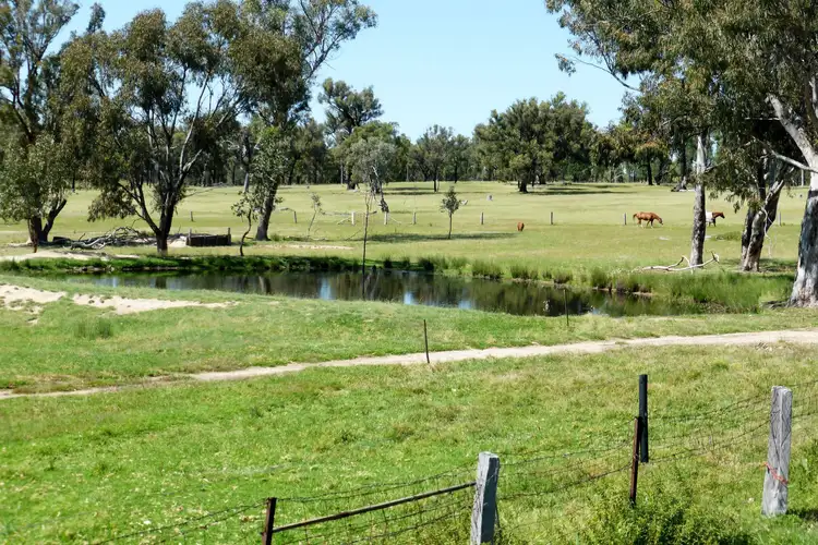 Seventh view of Homely rural property listing, Address available on request