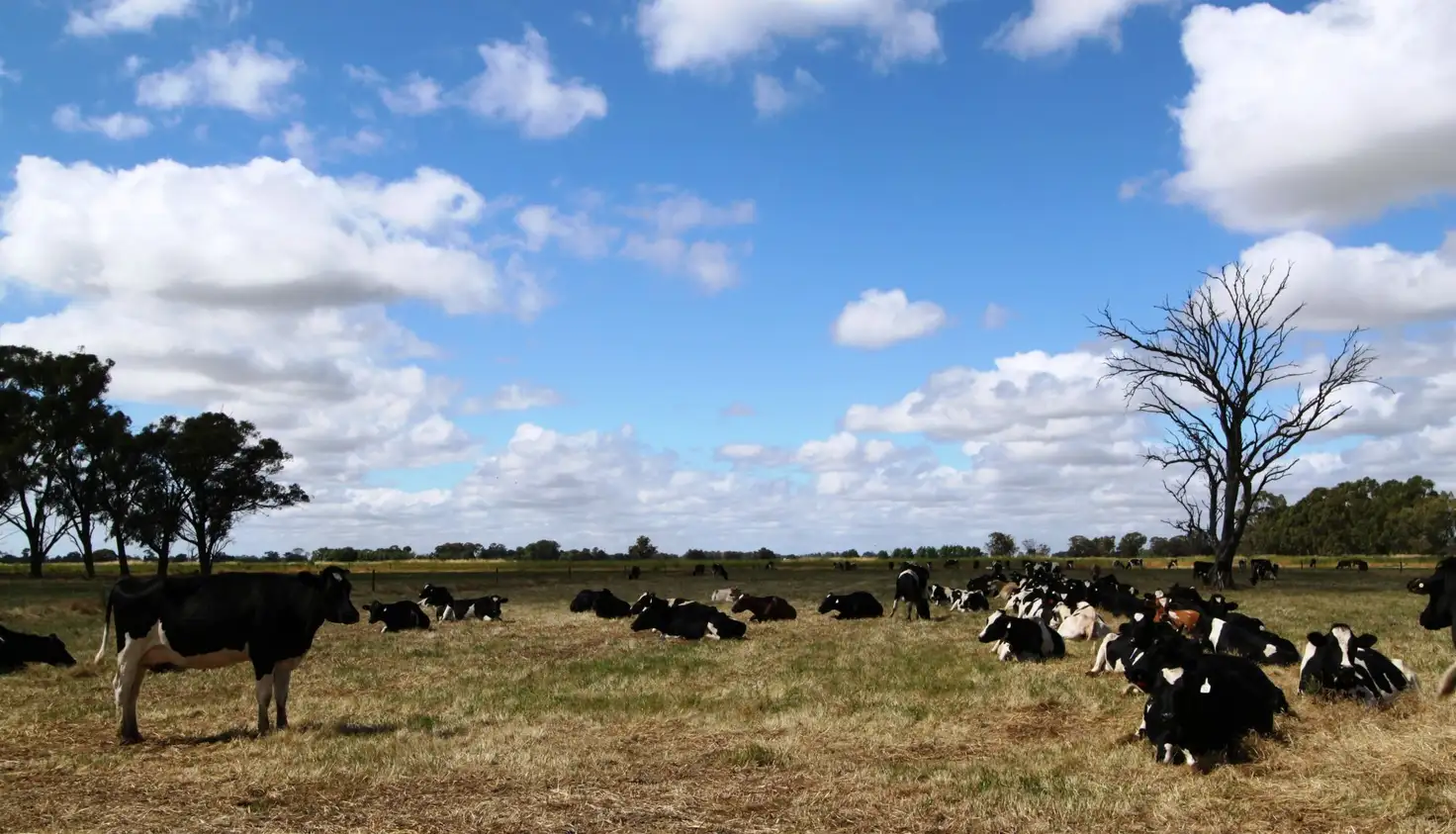 Main view of Homely rural property listing, Address available on request