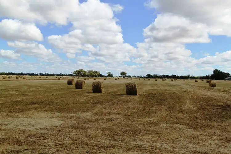 Fourth view of Homely rural property listing, Address available on request