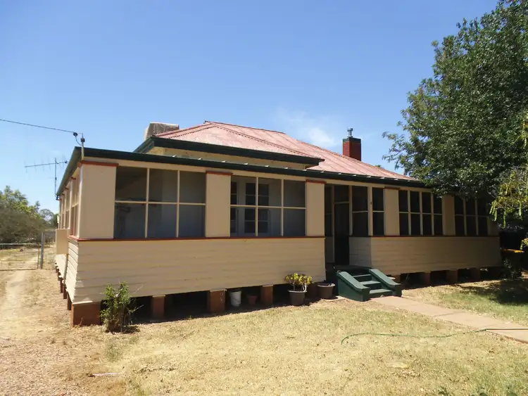 Main view of Homely house listing, 8 Dandaloo Street, Trangie NSW 2823