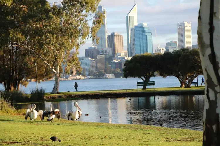 Sixth view of Homely house listing, 57 Ranelagh Crescent, South Perth WA 6151