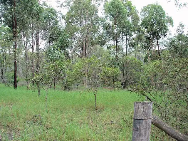 Third view of Homely rural property listing, 6 Wilsons Road, Tiaro QLD 4650