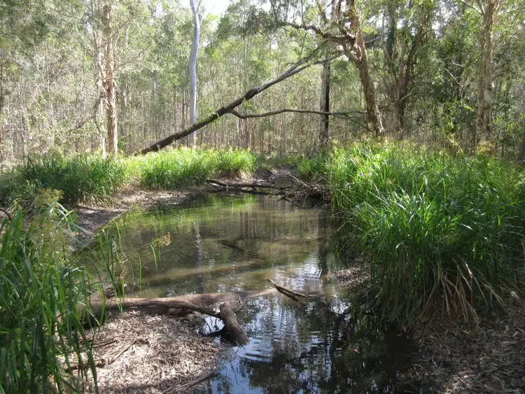 Seventh view of Homely rural property listing, 6 Wilsons Road, Tiaro QLD 4650