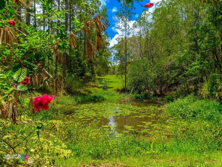 Third view of Homely rural property listing, 626 Beckmanns Road, Glenwood QLD 4570