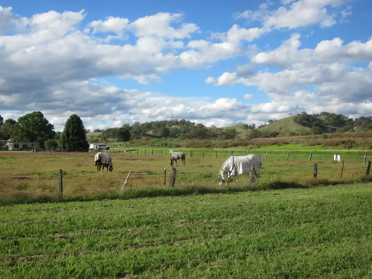 Main view of Homely land listing, 41 Raglan Street, Wingen NSW 2337