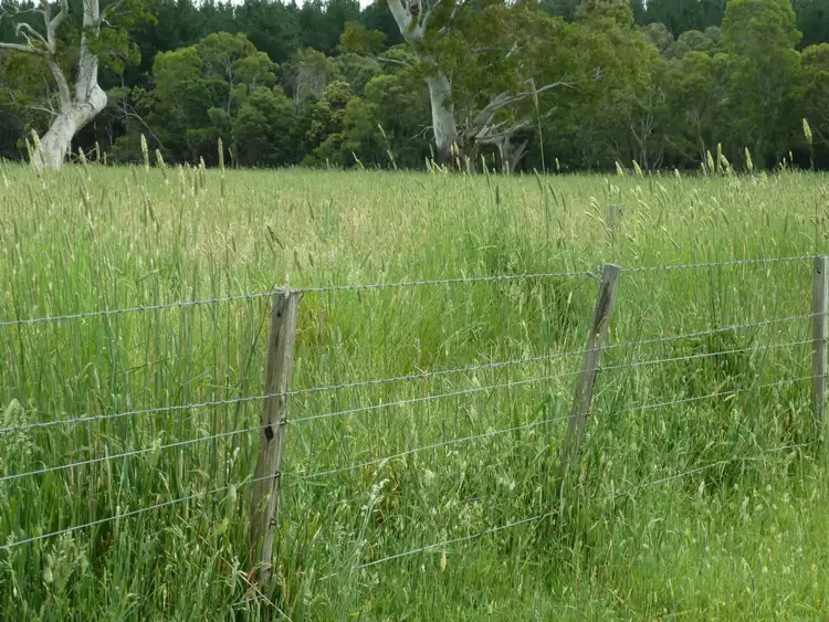 Third view of Homely rural property listing, Address available on request