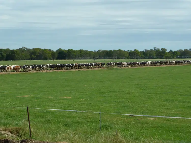 Fourth view of Homely rural property listing, Address available on request