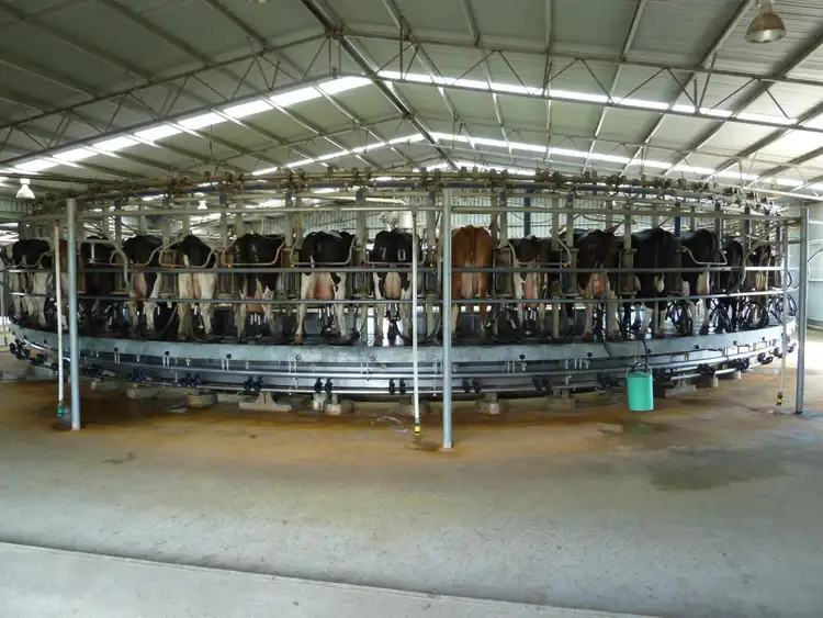 Sixth view of Homely rural property listing, Address available on request