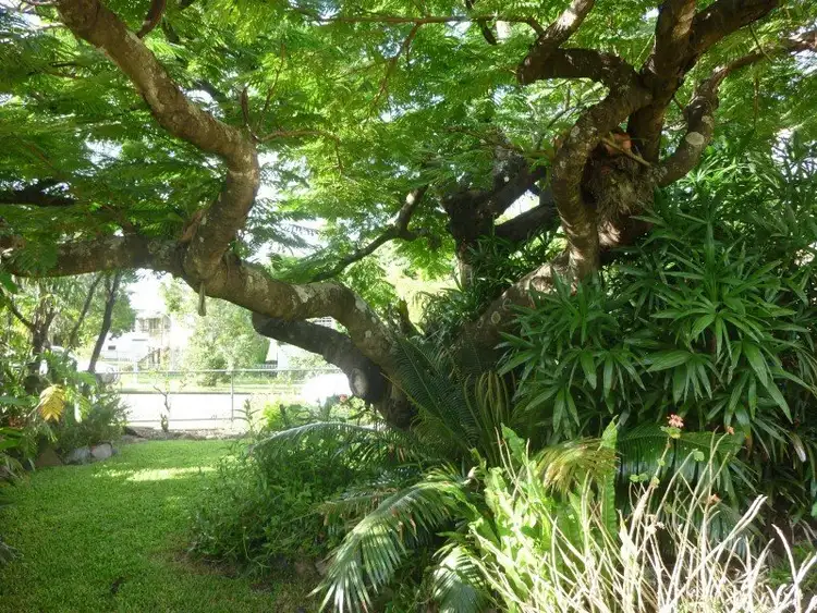 Third view of Homely house listing, 28 Harrowby Street, Corinda QLD 4075