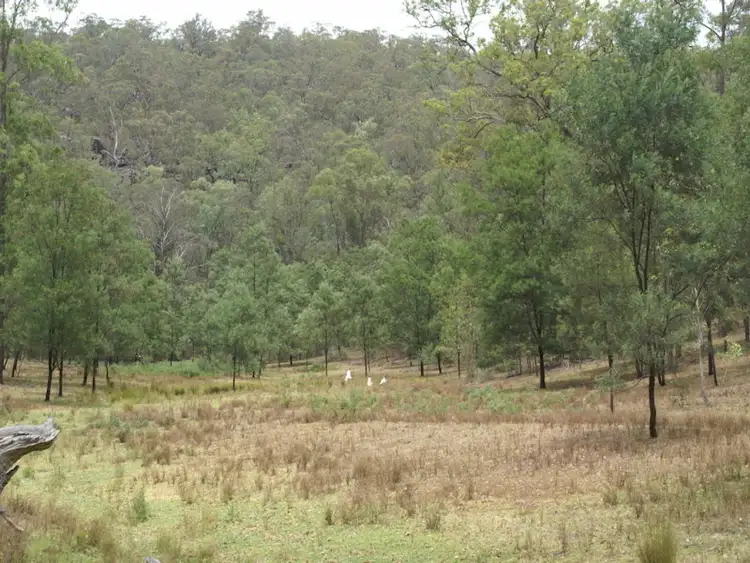 Seventh view of Homely rural property listing, Lot 20 Bunjim Drive, Putty NSW 2330