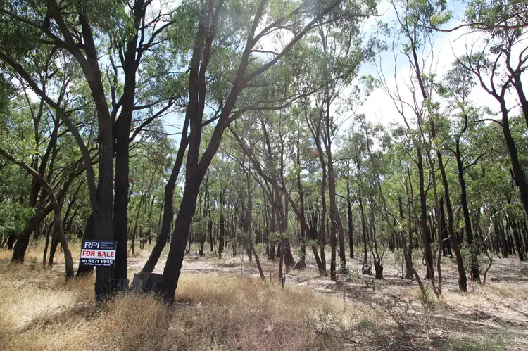 Main view of Homely rural property listing, 26B Lewis Road, Ladys Pass VIC 3523