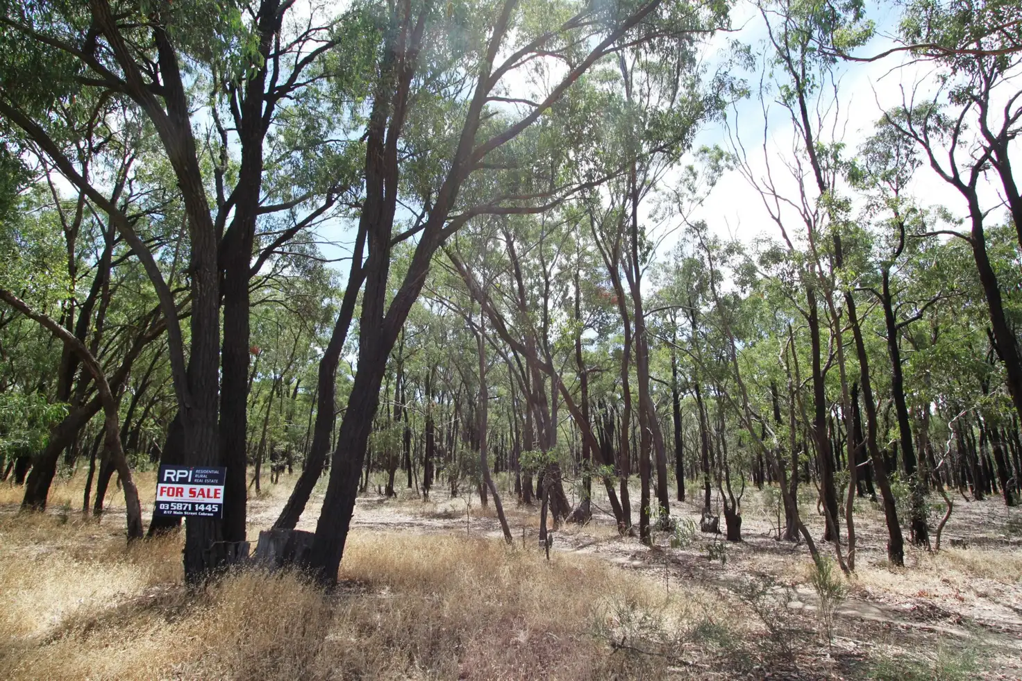 Main view of Homely rural property listing, 26B Lewis Road, Ladys Pass VIC 3523