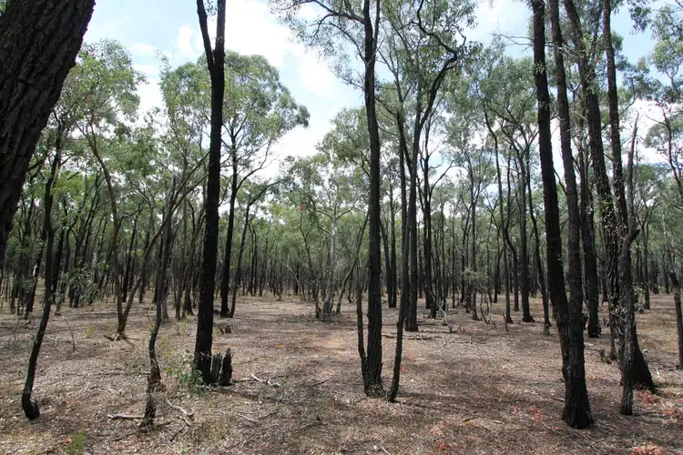 Fourth view of Homely rural property listing, 26B Lewis Road, Ladys Pass VIC 3523