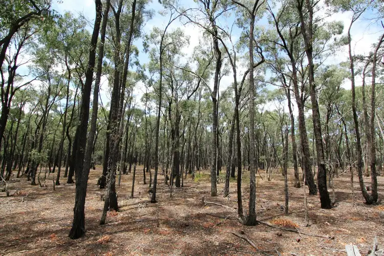 Fifth view of Homely rural property listing, 26B Lewis Road, Ladys Pass VIC 3523