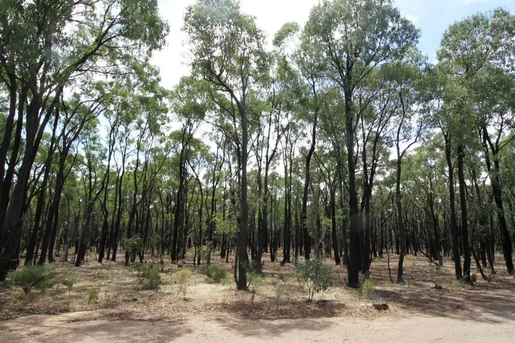 Sixth view of Homely rural property listing, 26B Lewis Road, Ladys Pass VIC 3523