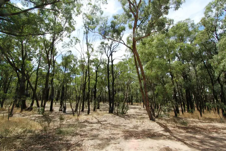 Seventh view of Homely rural property listing, 26B Lewis Road, Ladys Pass VIC 3523
