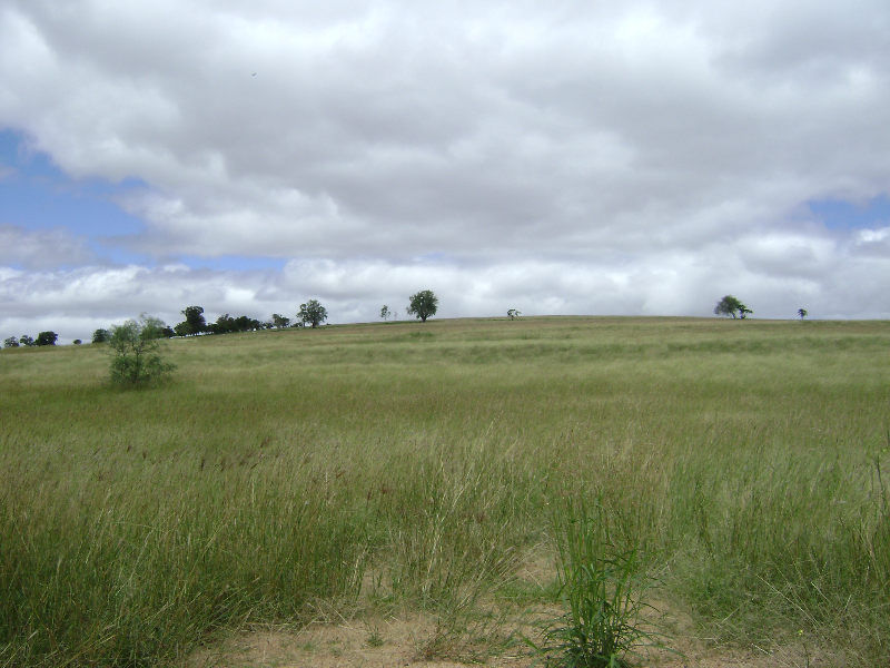 Third view of Homely land listing, Lot 3 Cnr Freestone & Charleys Gully Road, Freestone QLD 4370