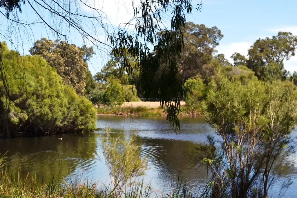 Main view of Homely land listing, 39/115 Rigg Road, Myalup WA 6220