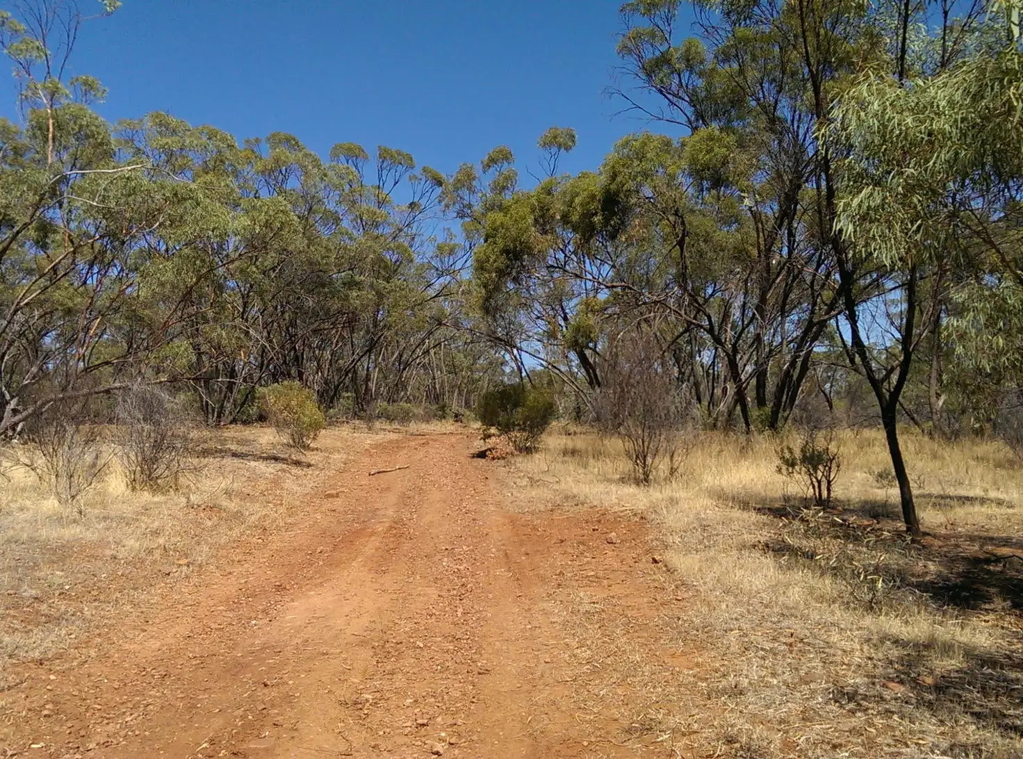 Main view of Homely land listing, Lot 694 Kleinigs Road, Stone Hut SA 5480
