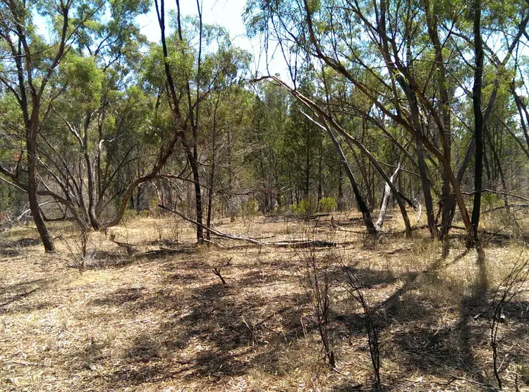 Third view of Homely land listing, Lot 694 Kleinigs Road, Stone Hut SA 5480
