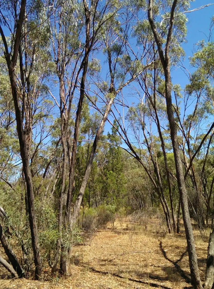 Fourth view of Homely land listing, Lot 694 Kleinigs Road, Stone Hut SA 5480