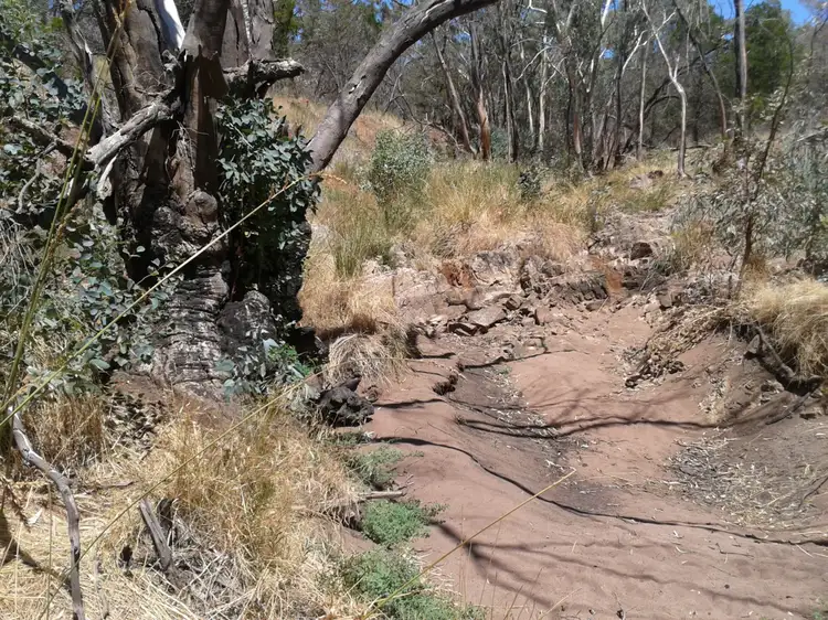 Sixth view of Homely land listing, Lot 694 Kleinigs Road, Stone Hut SA 5480