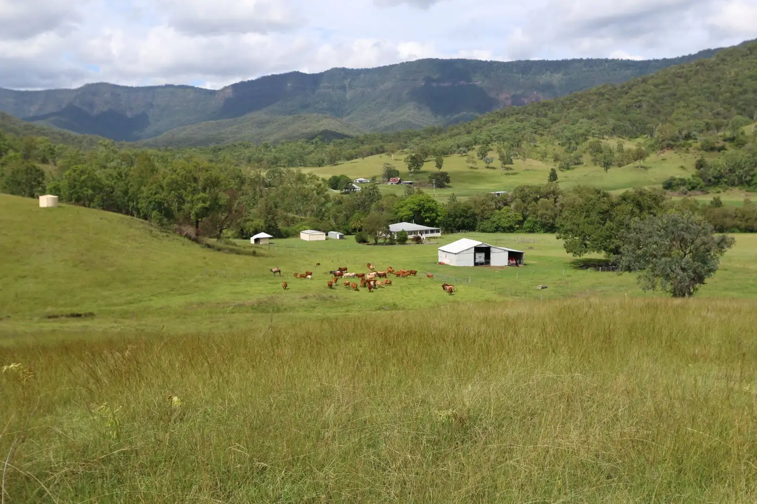Main view of Homely rural property listing, Address available on request