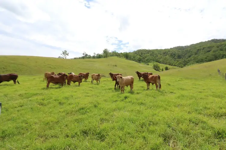 Second view of Homely rural property listing, Address available on request