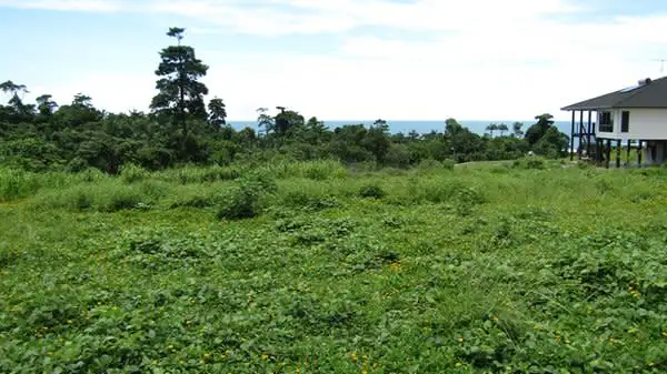 Fifth view of Homely land listing, 12 Unsworth Dr, Mission Beach QLD 4852