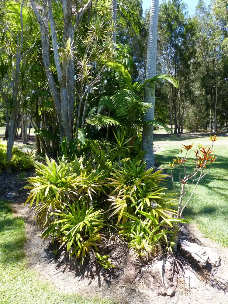 Seventh view of Homely rural property listing, 19 Silverwood Drive, Cooroibah QLD 4565
