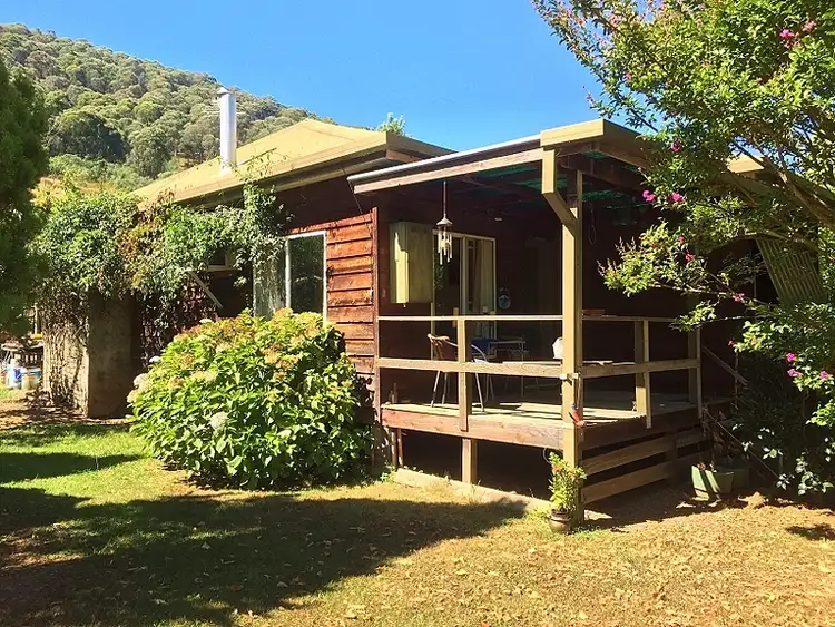 Main view of Homely rural property listing, Running Springs - 447 Little Snowy Creek Rd, Eskdale VIC 3701
