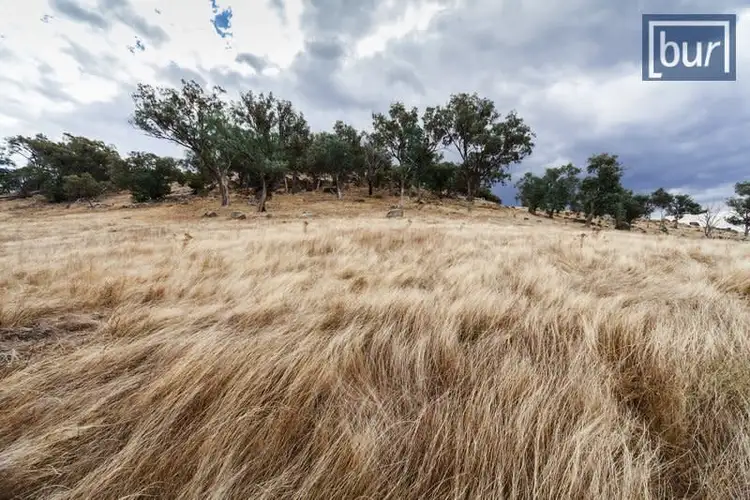 Fifth view of Homely rural property listing, 136 Dellven Drive, Table Top NSW 2640