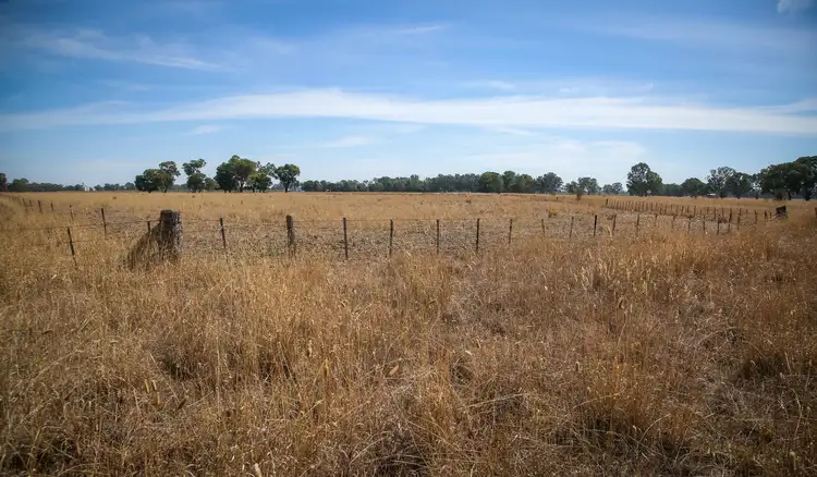 Fourth view of Homely rural property listing, .. Teagues Road, Peechelba East VIC 3678
