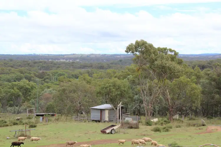 Main view of Homely rural property listing, 21459 New England Highway, Dalveen QLD 4374