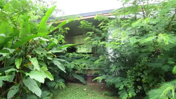 38 Cutten St, Bingil Bay QLD 4852