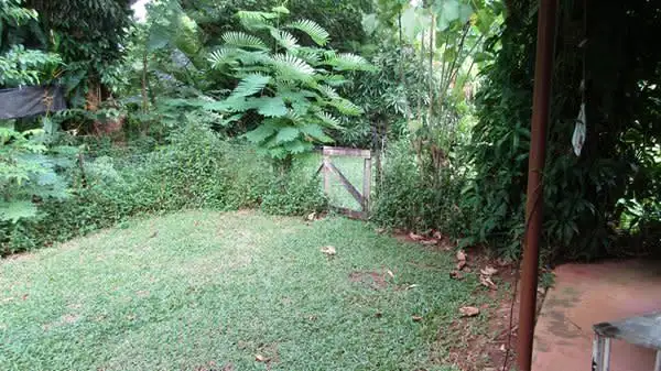 Third view of Homely house listing, 38 Cutten St, Bingil Bay QLD 4852