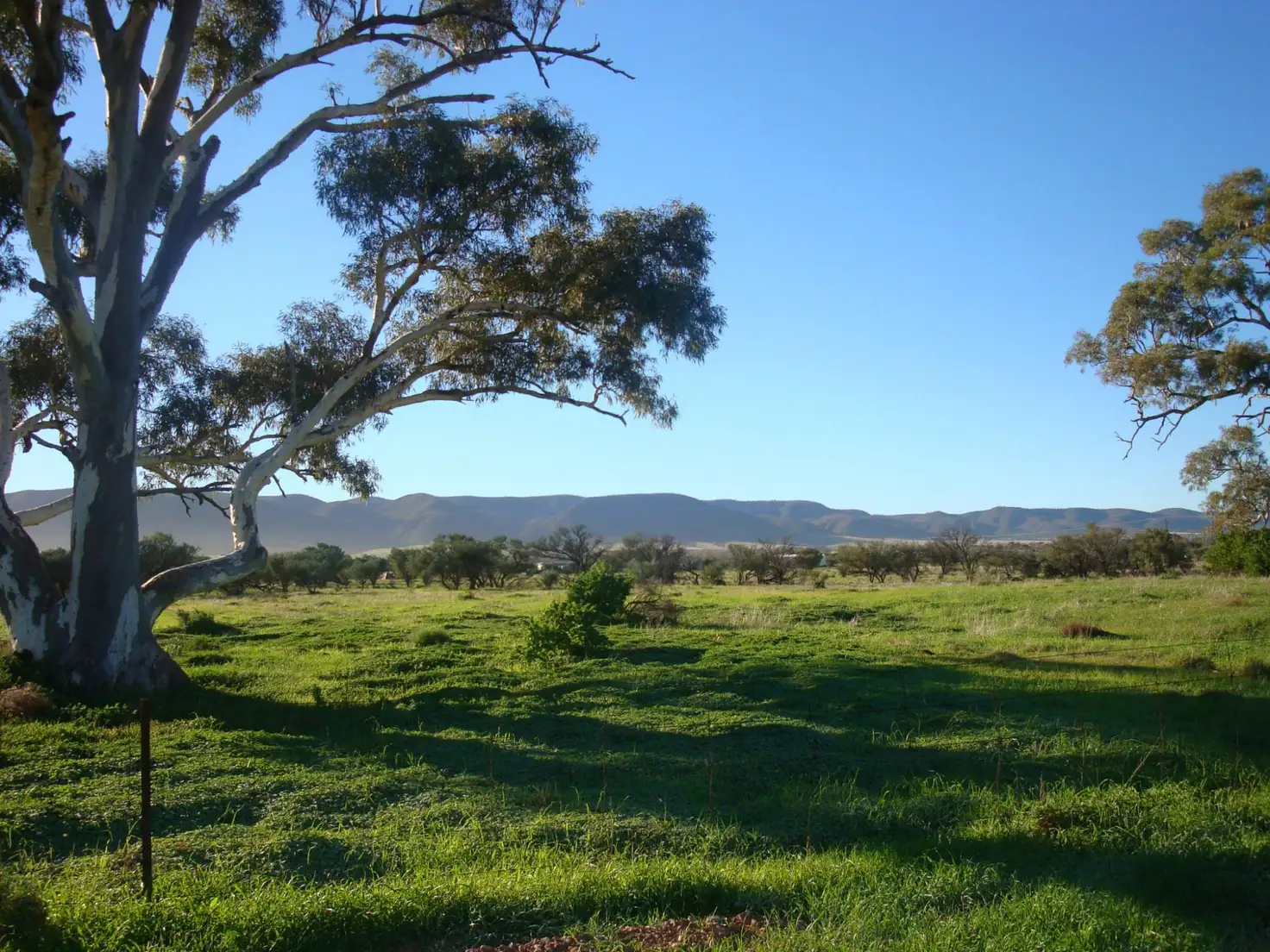 Main view of Homely land listing, Lot 180 Off Gulf View Drive, Napperby SA 5540