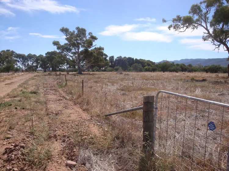 Fourth view of Homely land listing, Lot 180 Off Gulf View Drive, Napperby SA 5540