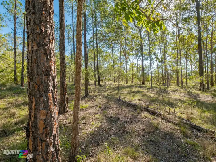 Seventh view of Homely land listing, 91 Arbortwentyeight Road, Glenwood QLD 4570