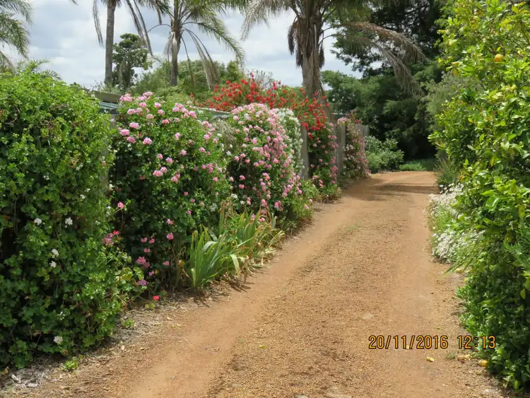Fifth view of Homely house listing, 42 Ogden Street, Collie WA 6225